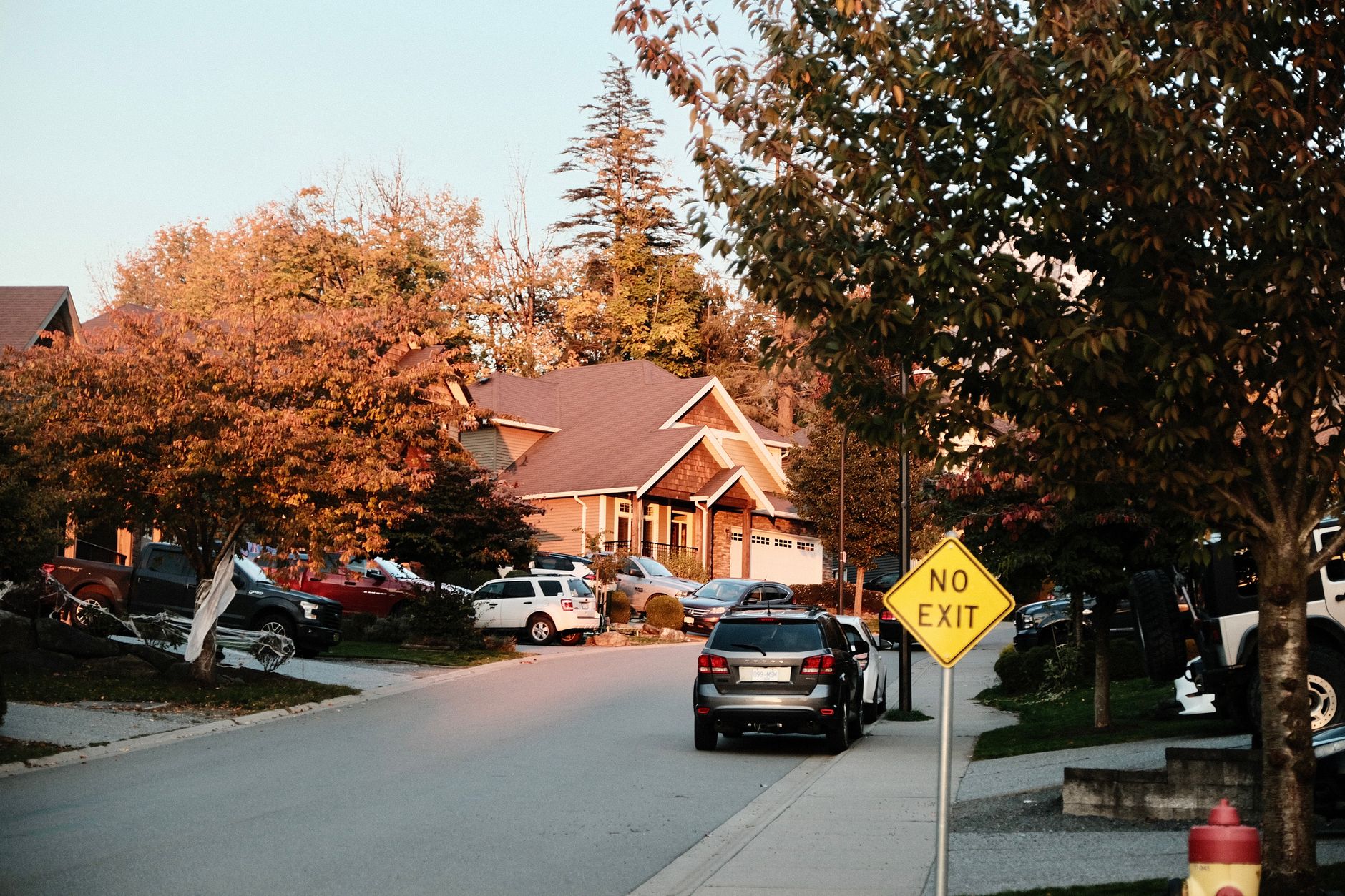The Saturday I Finally Caught Up on the Neighborhood